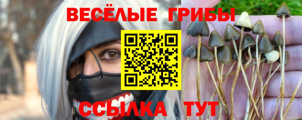 Бахчисарай  Галлюциногенные грибы мухоморы  Вход с VPN 
