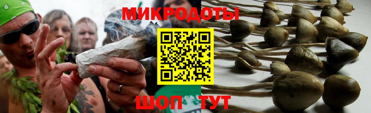 Псилоцибиновые грибы мухоморы Бахчисарай